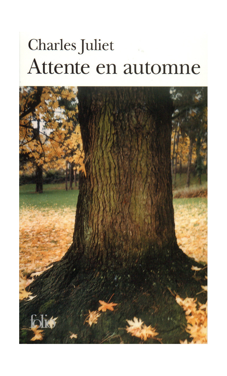 ATTENTE EN AUTOMNE/MARIA/TURBULENCES - JULIET CHARLES - FOLIO