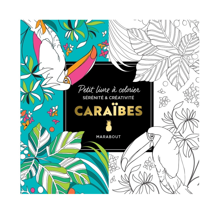 Le petit livre de coloriages : Caraïbes - XXX - MARABOUT