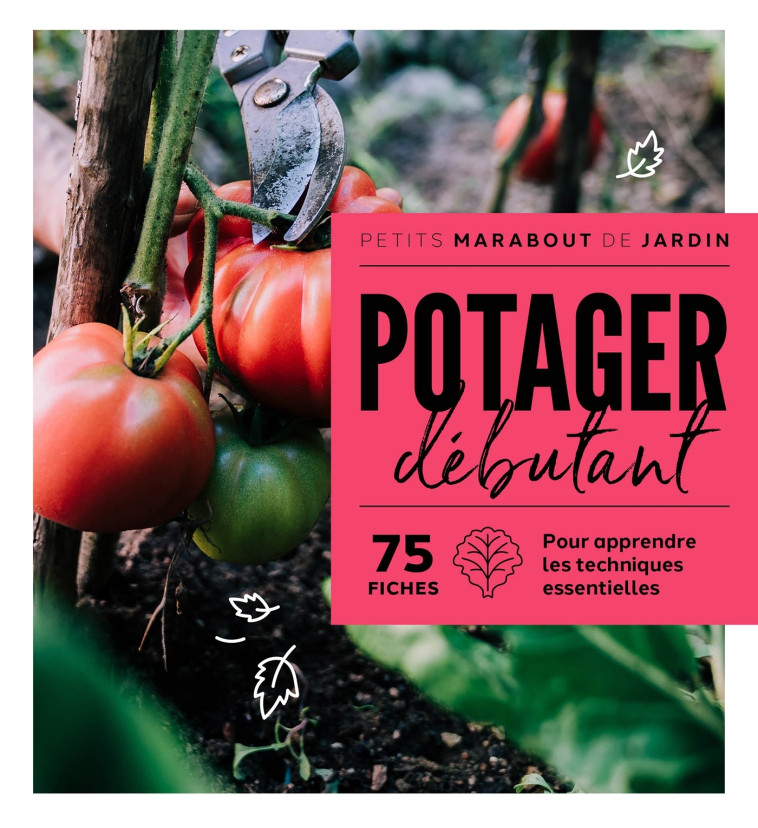 Potager débutant -   - MARABOUT