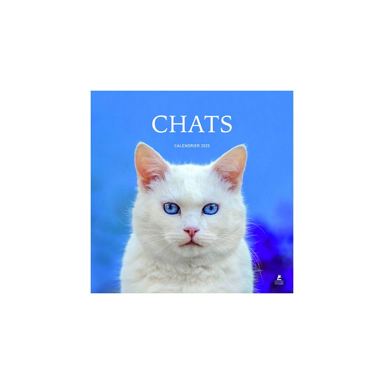 Calendrier chats 2025 - Collectif Collectif, Collectif  - PLACE VICTOIRES