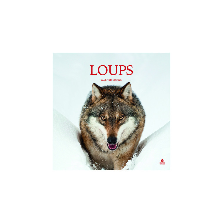 Calendrier loups 2025 - Collectif Collectif, Collectif  - PLACE VICTOIRES