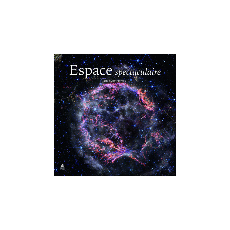 Calendrier Espace spectaculaire 2025 - Collectif Collectif, Collectif  - PLACE VICTOIRES