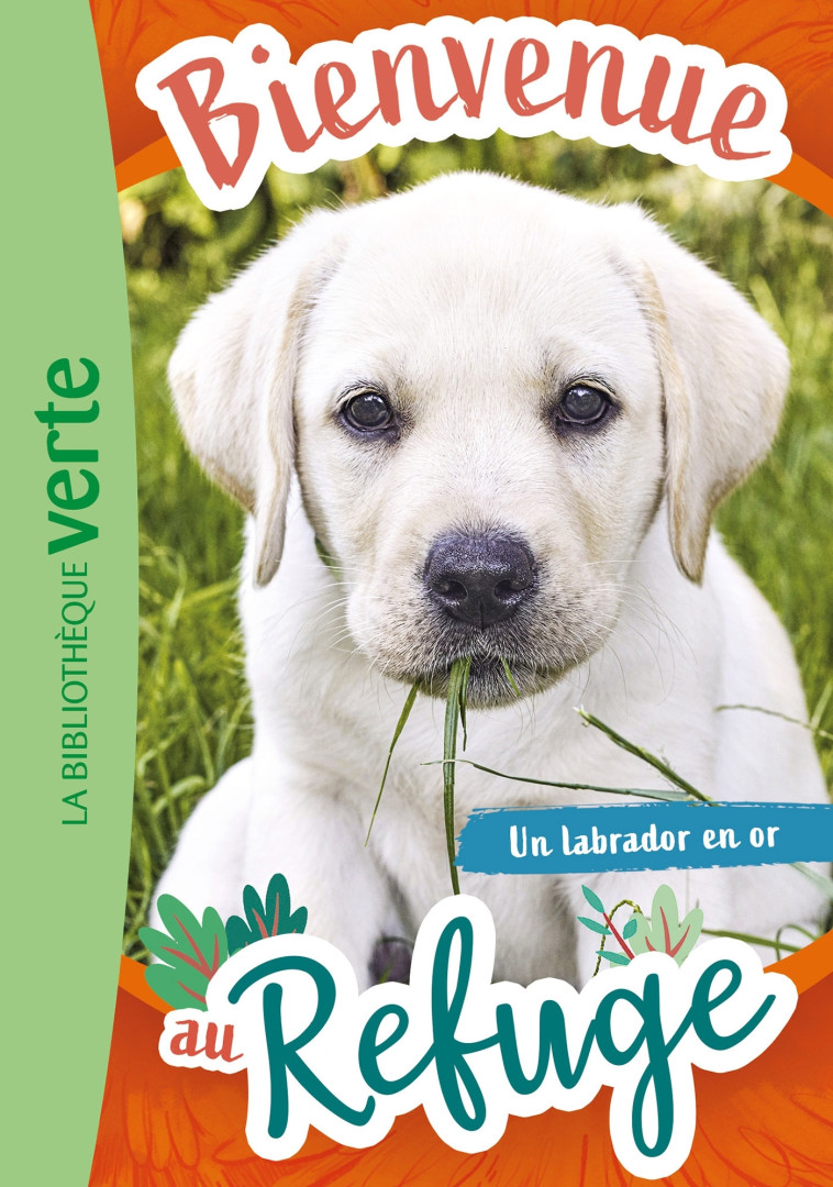 Bienvenue au refuge 08 - Un labrador en or - Livre Hachette, Ruter Pascal - HACHETTE JEUN.