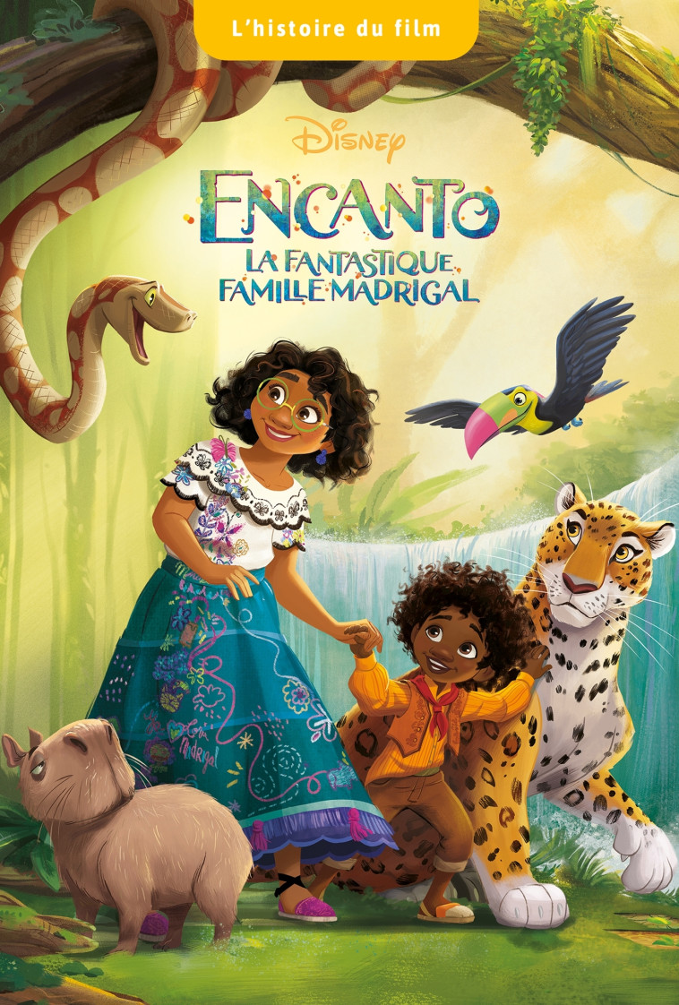 ENCANTO, LA FANTASTIQUE FAMILLE MADRIGAL - L'Histoire du film - Disney - Collectif  - DISNEY HACHETTE