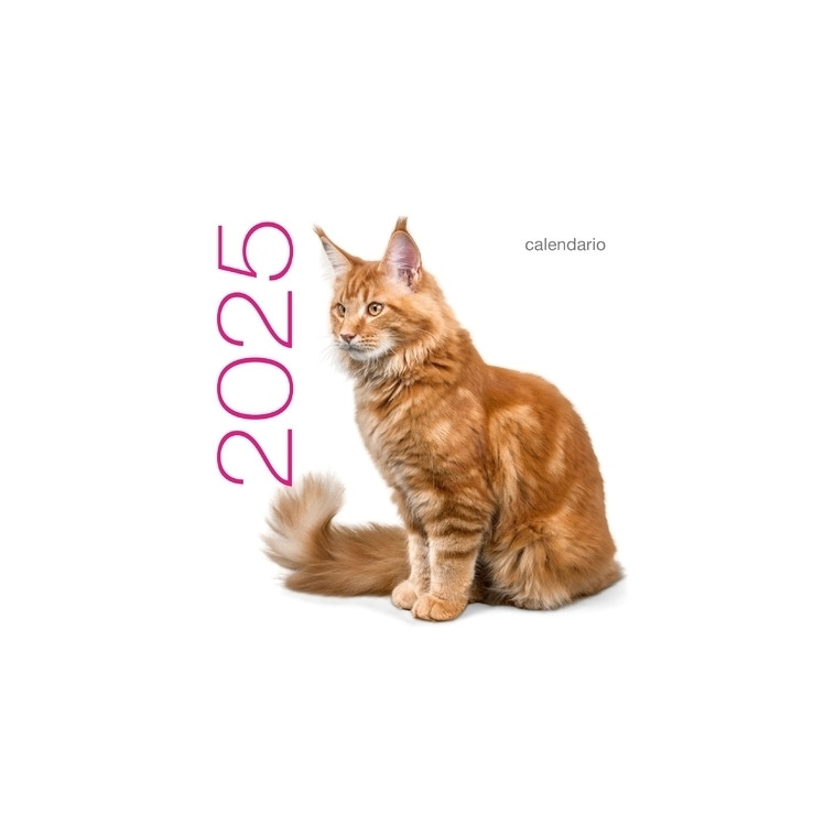 Calendrier mural 2025 Chats - Collectif Collectif, Collectif  - WHITE STAR