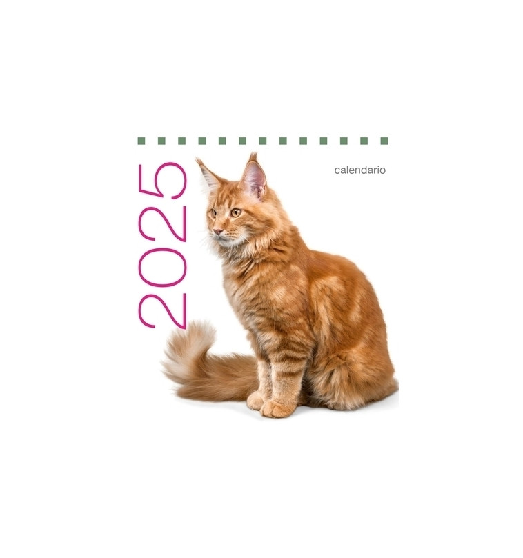 Calendrier de table 2025 Chats -  Collectif - WHITE STAR