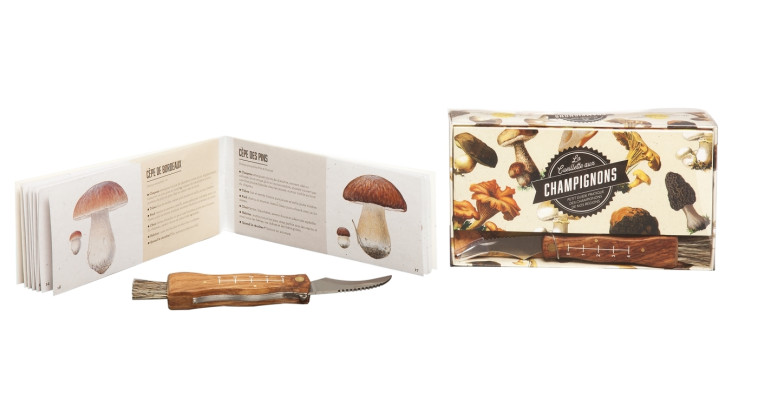 Coffret Champignons -   - HACHETTE PRAT