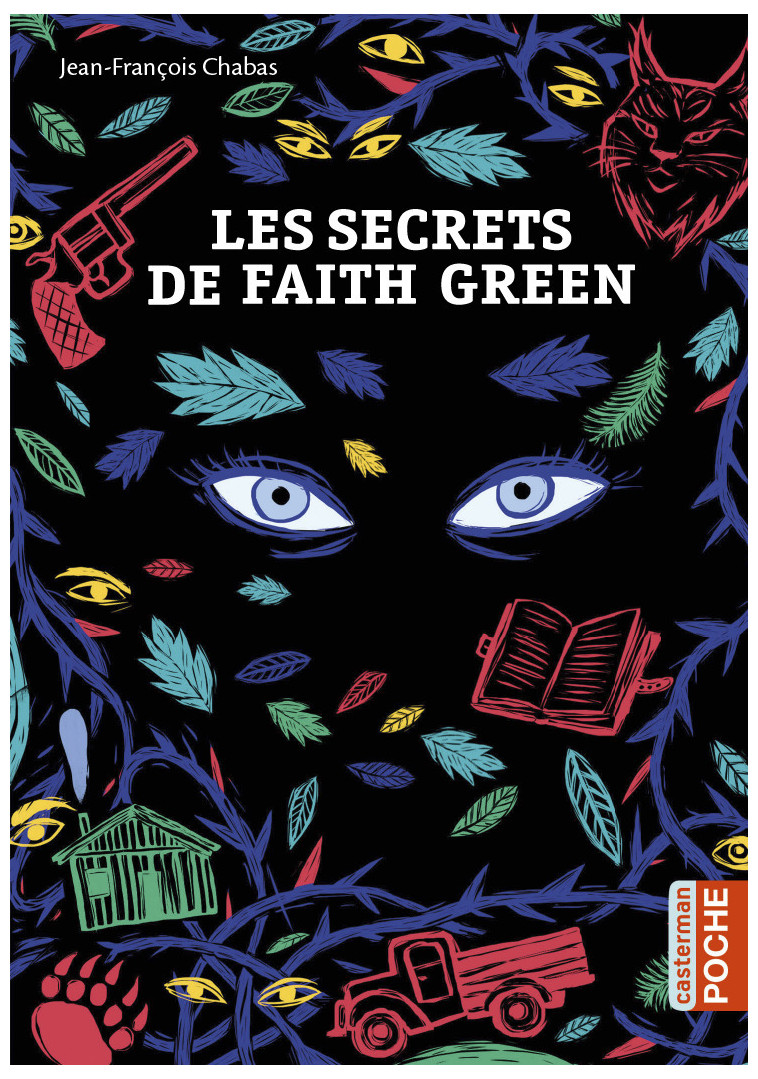 Les secrets de Faith Green - Chabas Jean-François, Blain Christophe - CASTERMAN