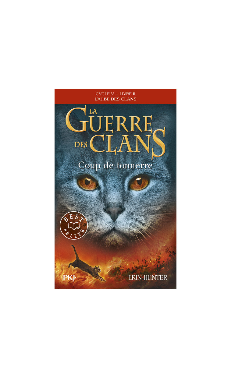 La guerre des clans, Cycle V, Tome 02 : Coup de tonnerre - Erin Hunter, Aude Carlier - POCKET JEUNESSE