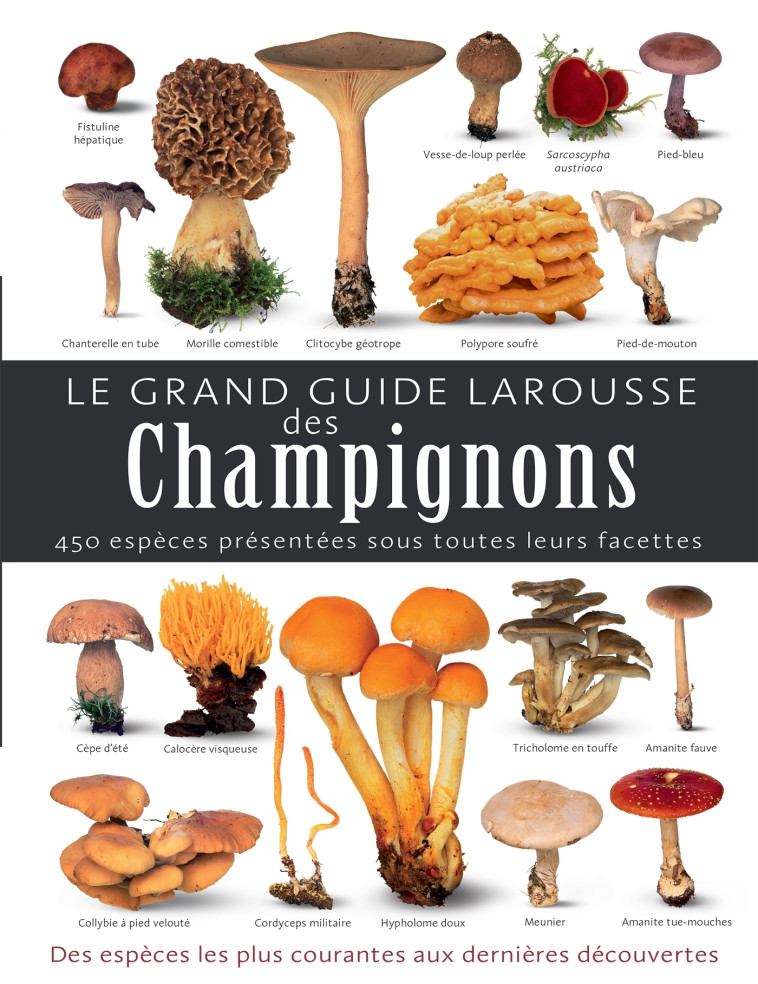 Le grand guide Larousse des champignons - Thomas Laessoe - LAROUSSE