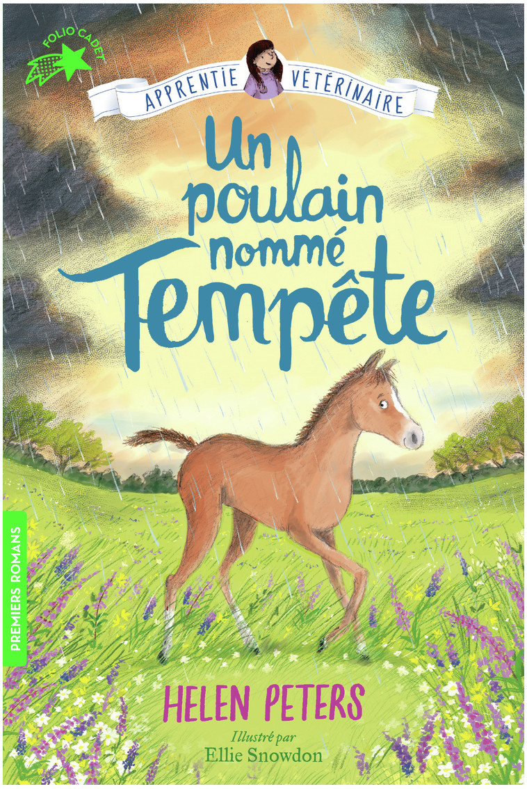 Un poulain nommé Tempête - Helen Peters, Ellie Snowdon, Marie Leymarie - GALLIMARD JEUNE