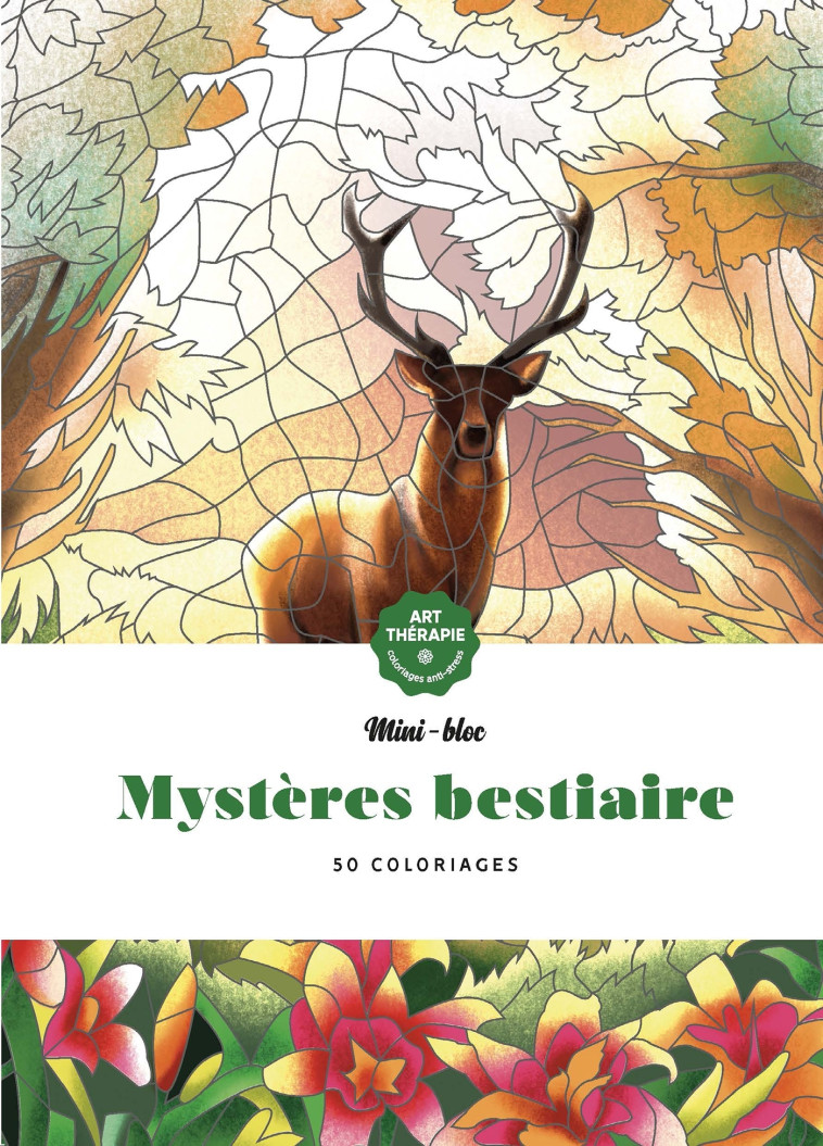 Mini-blocs d'Art-thérapie Mystères Bestiaire -   - HACHETTE HEROES