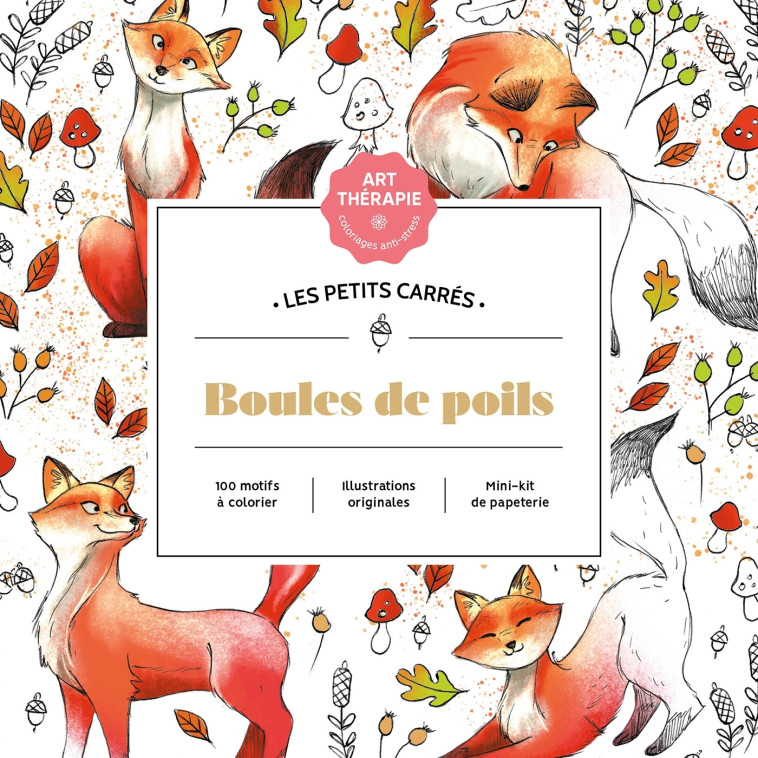 Les petits carrés d'Art-thérapie Boules de poils - Diane Dufour - HACHETTE HEROES