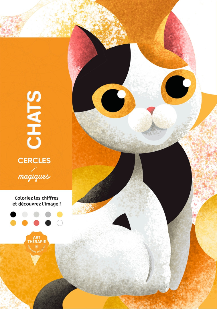 Chats en cercles magiques - William Bal - HACHETTE HEROES