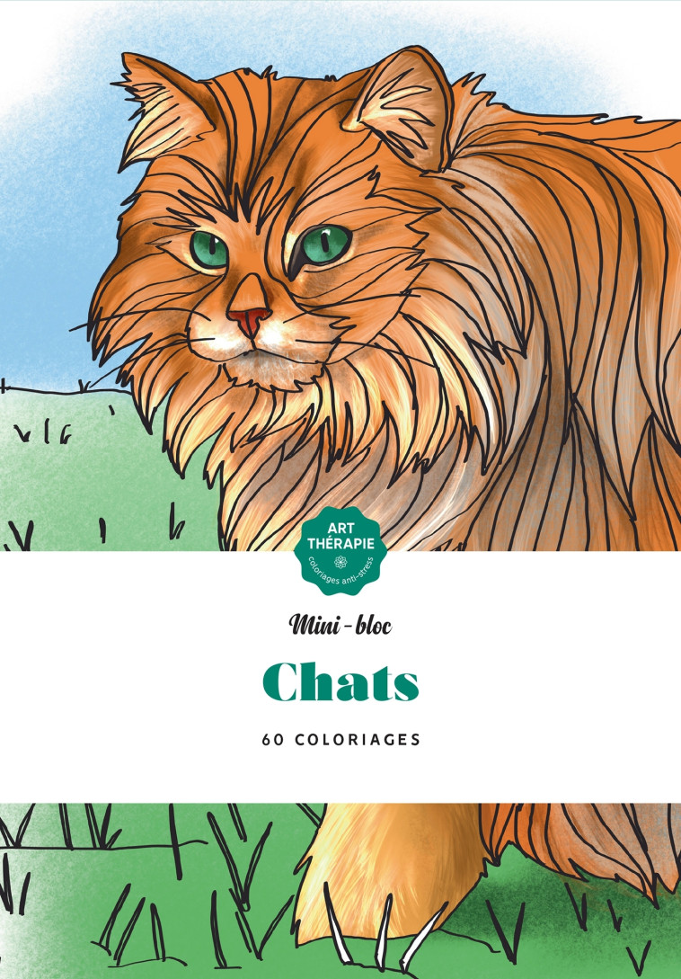 Chats - Karine Naye - HACHETTE HEROES