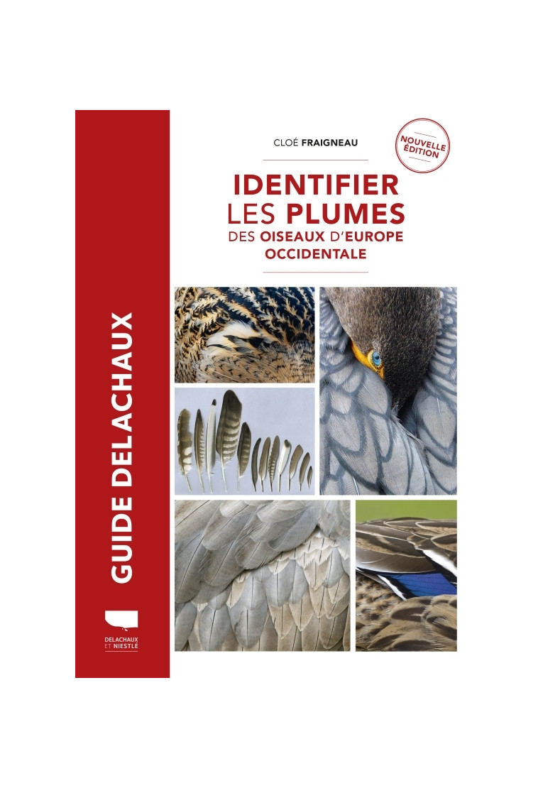 Identifier les plumes des oiseaux d Europe occidentale - Cloé Fraigneau - DELACHAUX