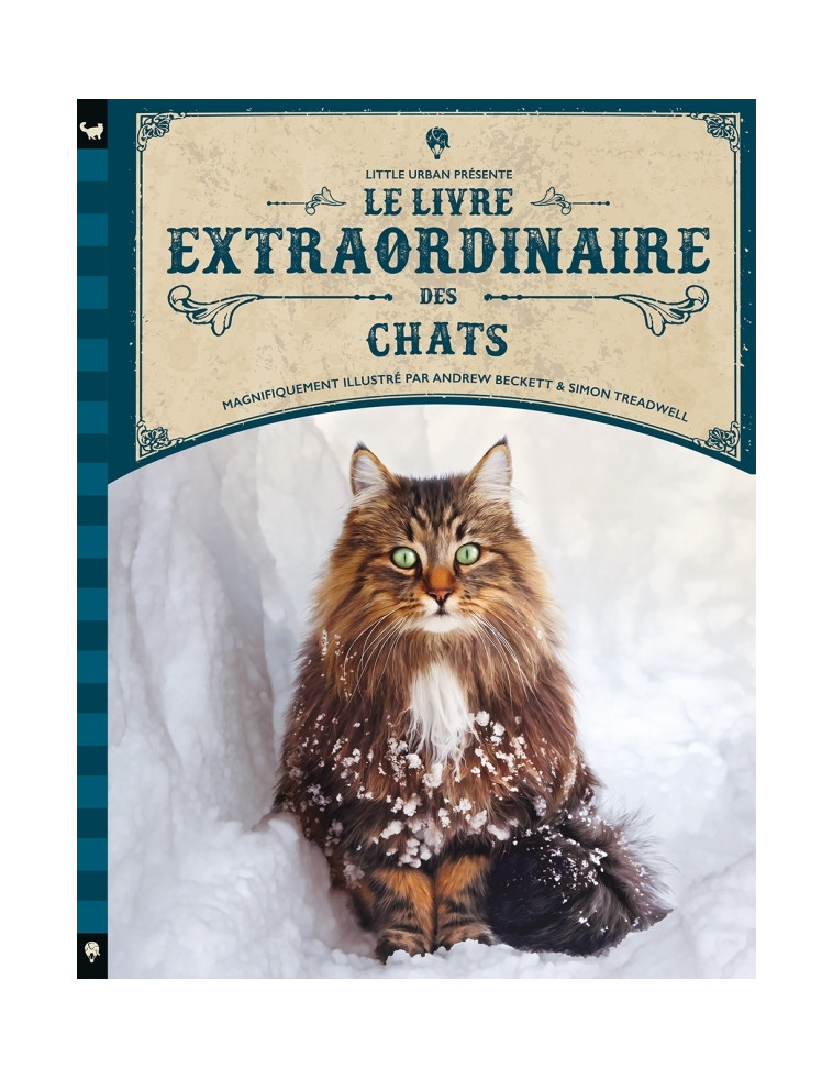 Le Livre extraordinaire des chats - Taylor Barbara Taylor Barbara, Beckett Andrew Beckett Andrew, Treadwell Simon Treadwell Simon,  Taylor Barbara,  Beckett Andrew,  Treadwell Simon - LITTLE URBAN