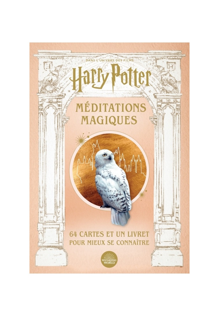 Harry Potter, méditations magiques - XXX - HUGINN MUNINN