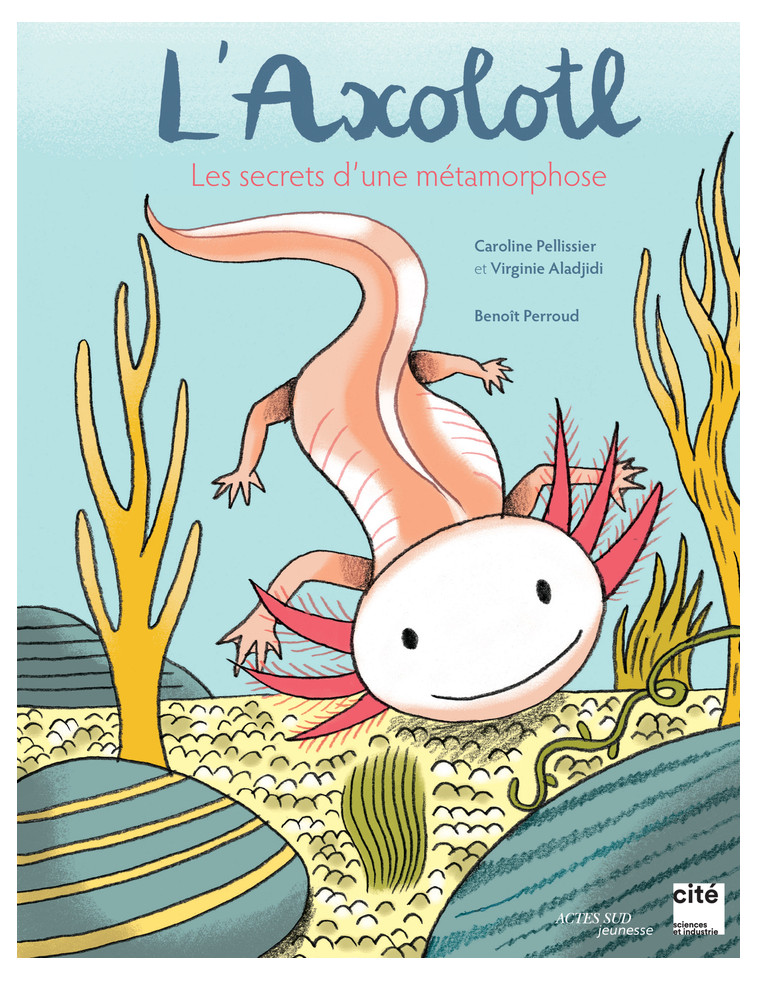 L'axolotl, les secrets d'une métamorphose - Virginie Aladjidi, Caroline Pellissier, Benoît Perroud - ACTES SUD