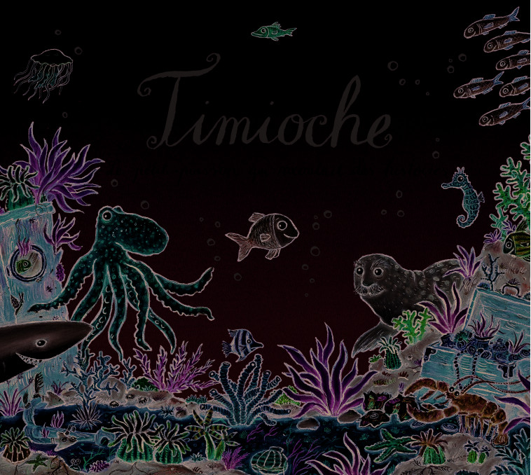 Timioche - Julia Donaldson, Axel Scheffler, Anne Krief - GALLIMARD JEUNE