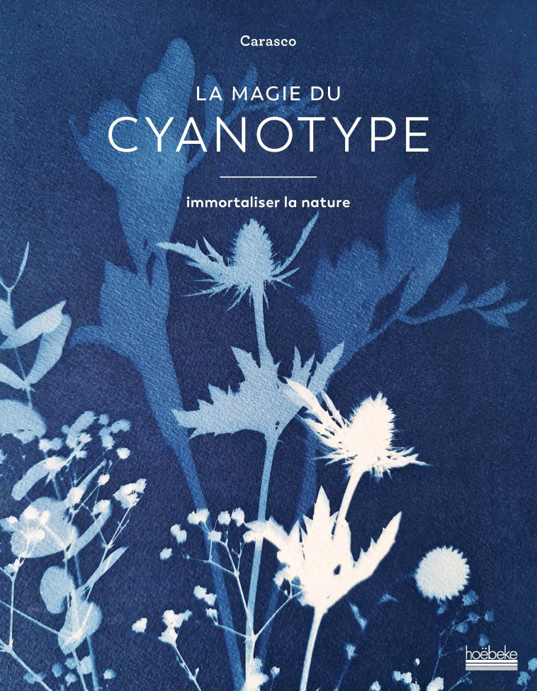 La magie du cyanotype -  Carasco - HOEBEKE