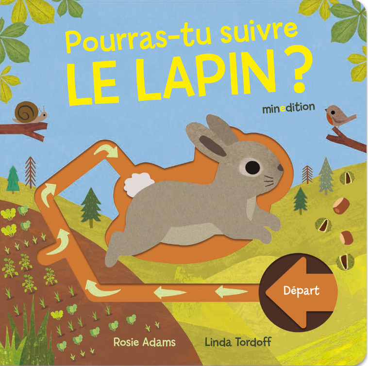 Pourras tu suivre le lapin ? - Rosie ADAMS, Linda TORDOFF - MINEDITION