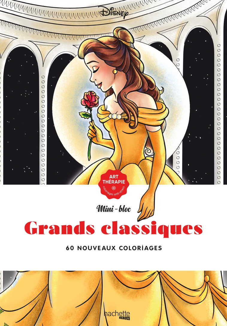 Les mini-blocs Disney Grands classiques -   - HACHETTE HEROES