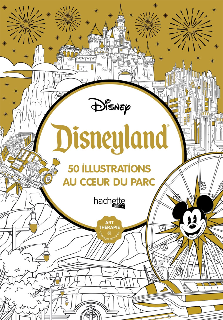 Disneyland -   - HACHETTE HEROES