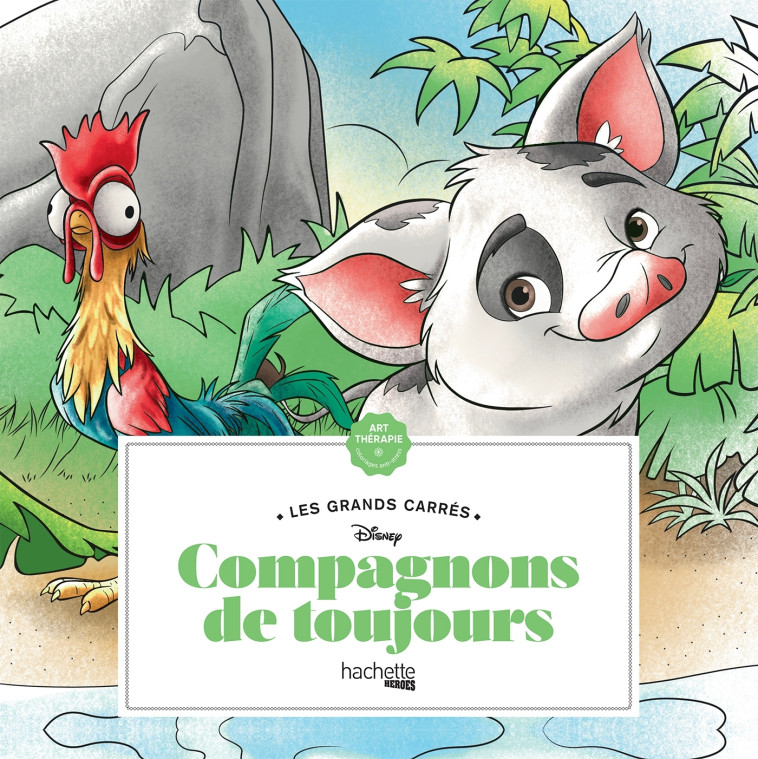 Les Grands carrés Compagnons de toujours - William Bal - HACHETTE HEROES