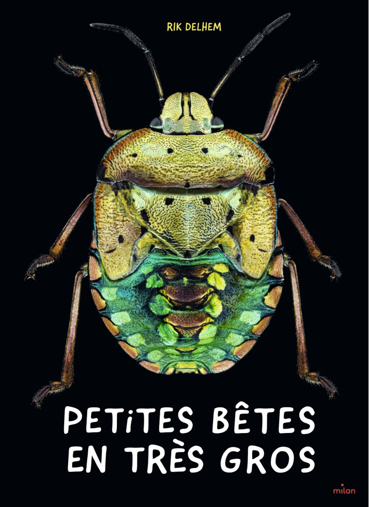 Petites bêtes en très gros - Rik Delhem, Catherine Tron-Mulder - MILAN