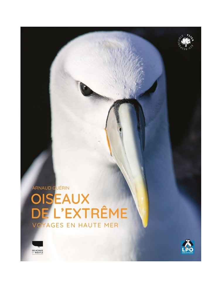 Oiseaux de l'extrême - Arnaud Guérin - DELACHAUX