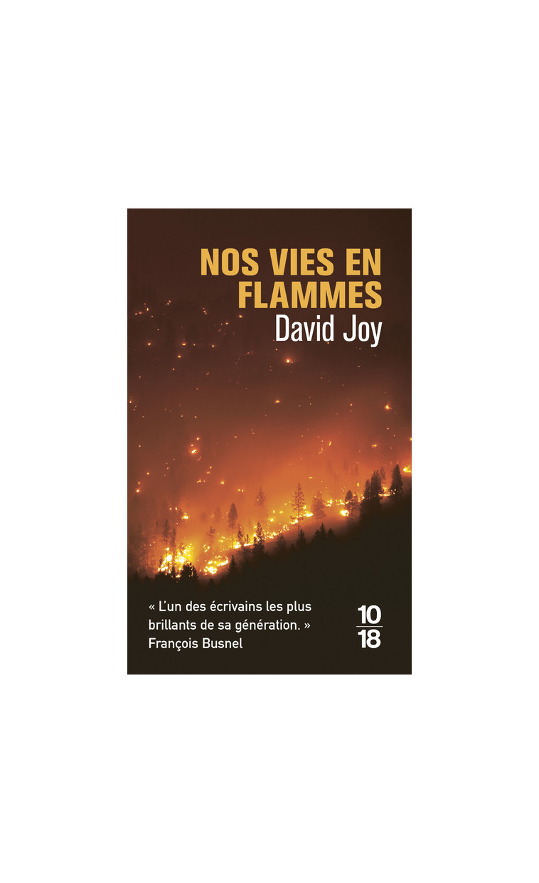 Nos vies en flammes - David Joy, Fabrice Pointeau - 10 X 18