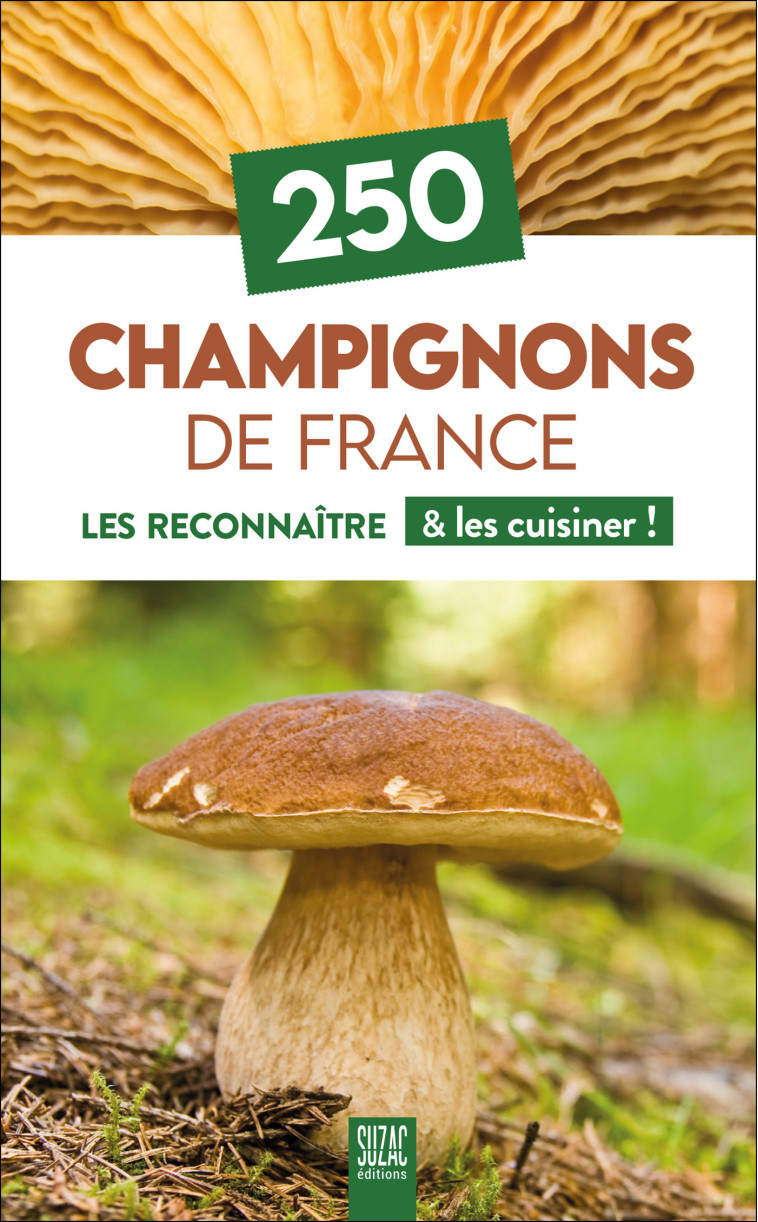 250 Champignons de France -  Collectif - SUZAC