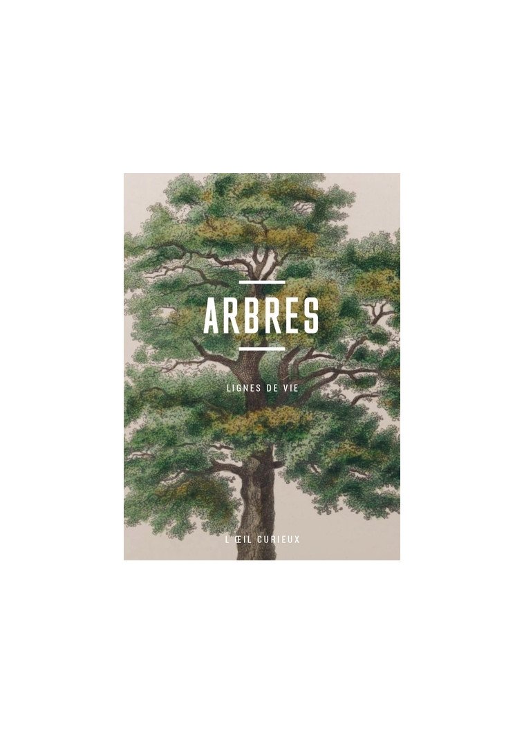 Arbres - Lignes de vie - Luc Menapace - BNF