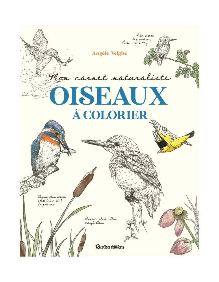 Mon carnet naturaliste Oiseaux à colorier - Angèle Velghe - RUSTICA