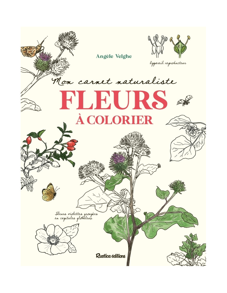 Mon carnet naturaliste Fleurs à colorier - Angèle Velghe - RUSTICA