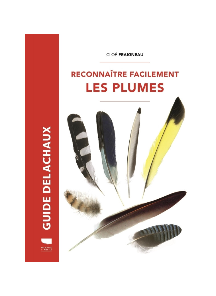 Reconnaître facilement les plumes - Cloé Fraigneau - DELACHAUX