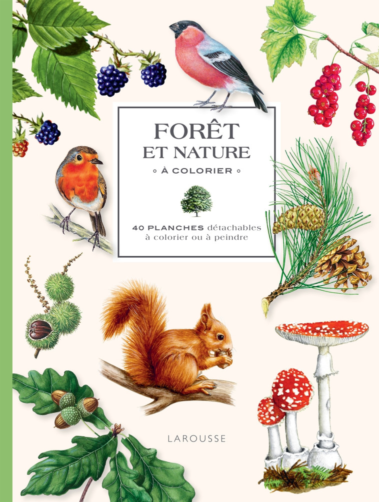 FORET ET NATURE A COLORIER - 40 PLANCHES DETACHABLES A COLORIER OU A PEINDRE - XXX - DESSAIN TOLRA