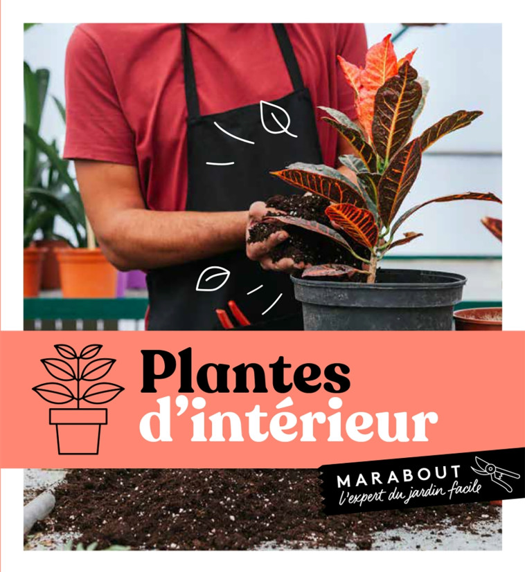 Plantes d'intérieur -   - MARABOUT