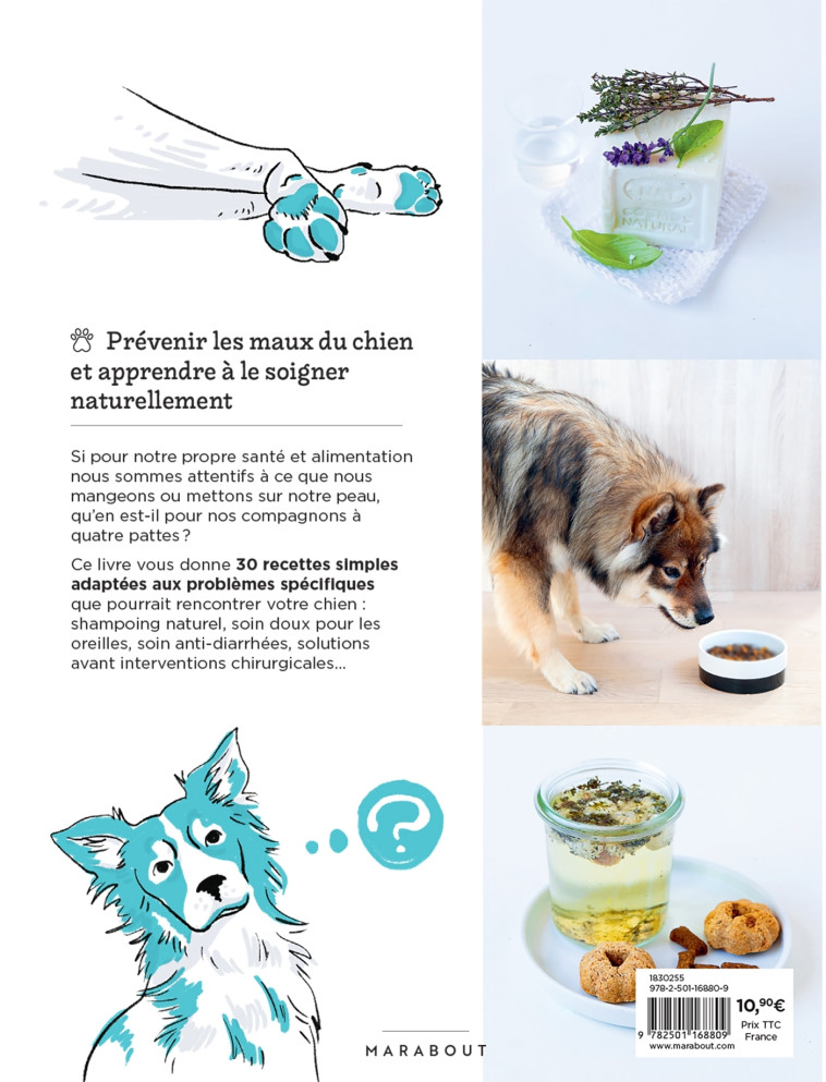 Les soins naturels pour mon chien - Céline Gastinel-Moussour - MARABOUT