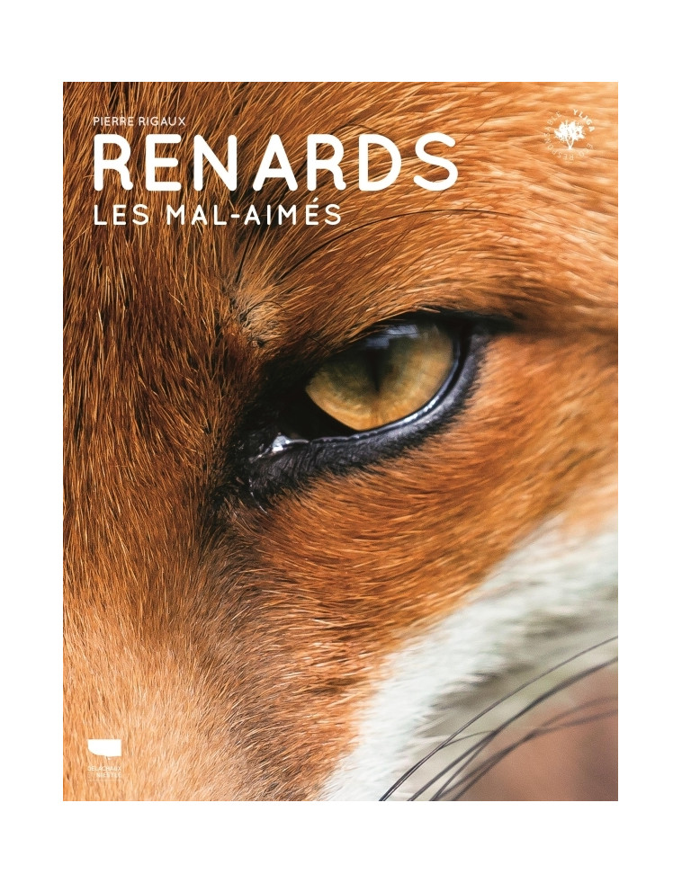 Renards - Pierre RIGAUX - DELACHAUX