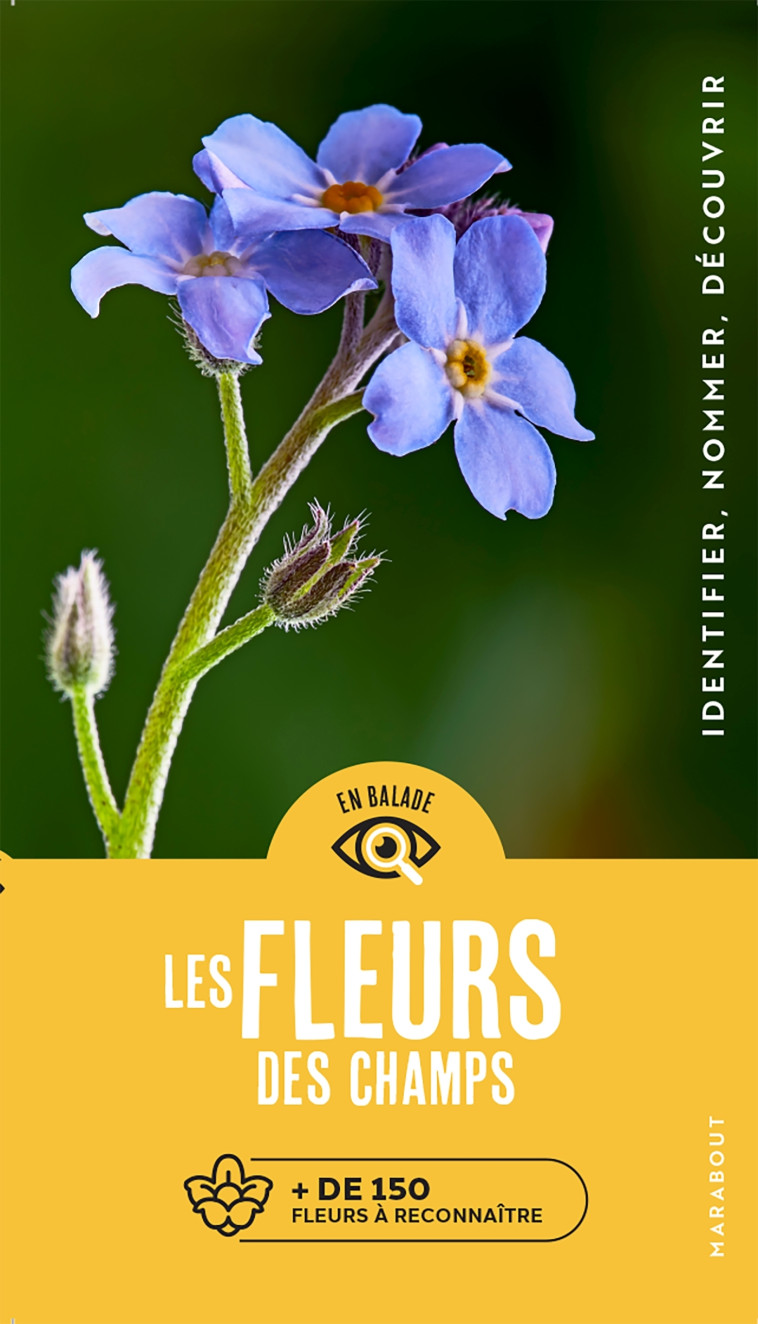 En balade - Les fleurs - Eva-Maria Dreyer - MARABOUT