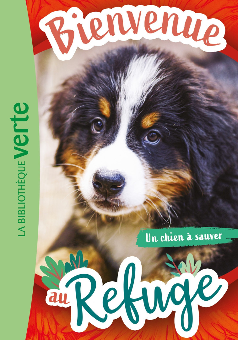 Bienvenue au refuge 02 - Un chien à sauver - Hachette Livre, Pascal Ruter - HACHETTE JEUN.