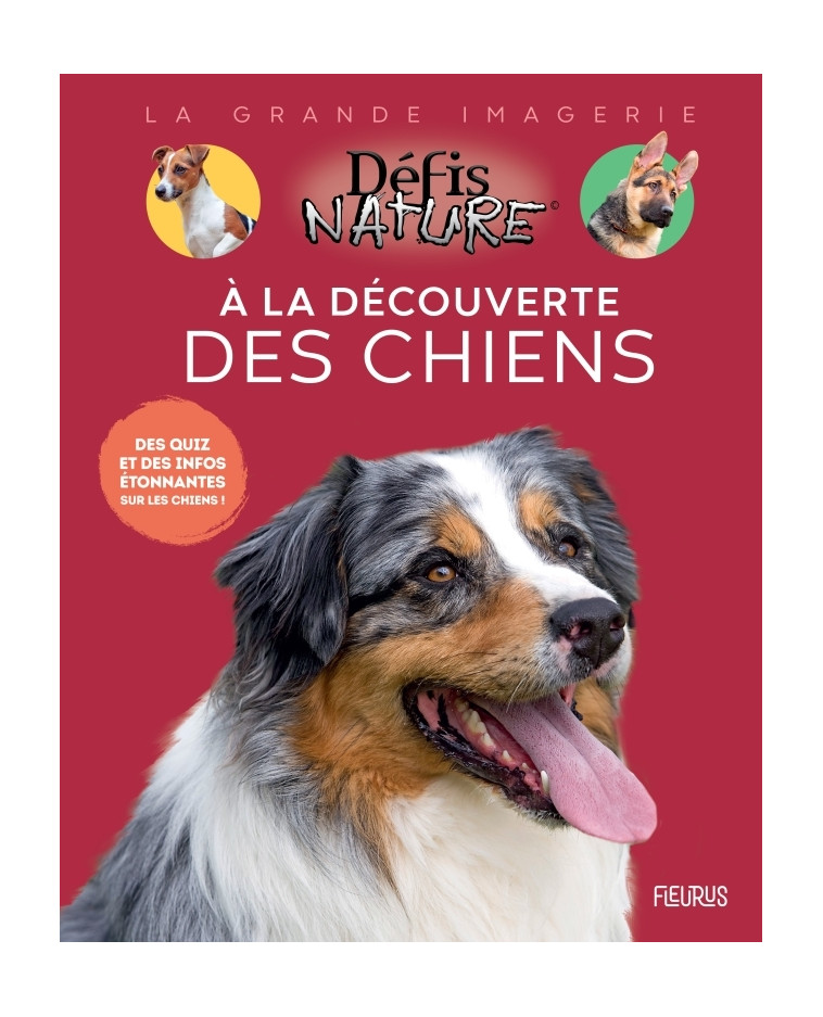 À la découverte des chiens - Marie-Alice Trochet-Desmaziers - FLEURUS