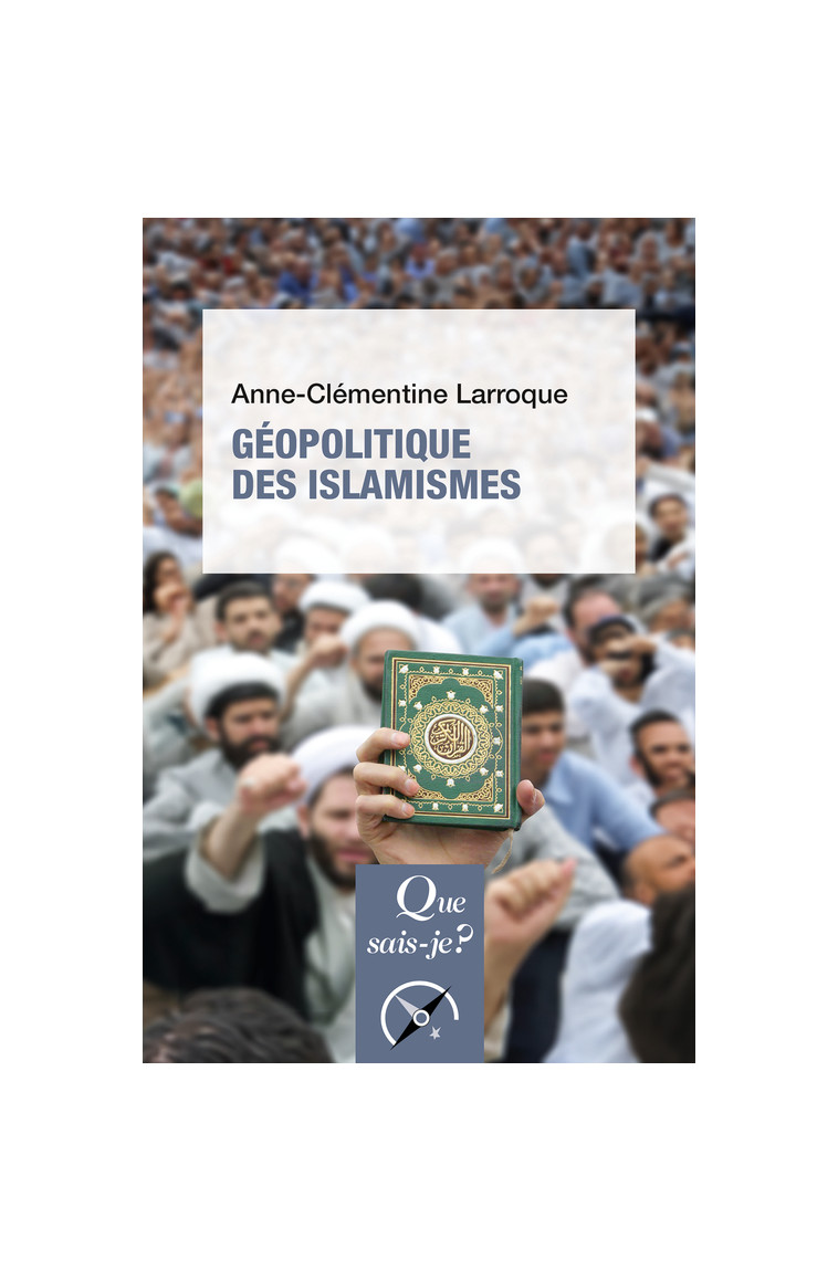 Géopolitique des islamismes - Anne-Clémentine Larroque - QUE SAIS JE