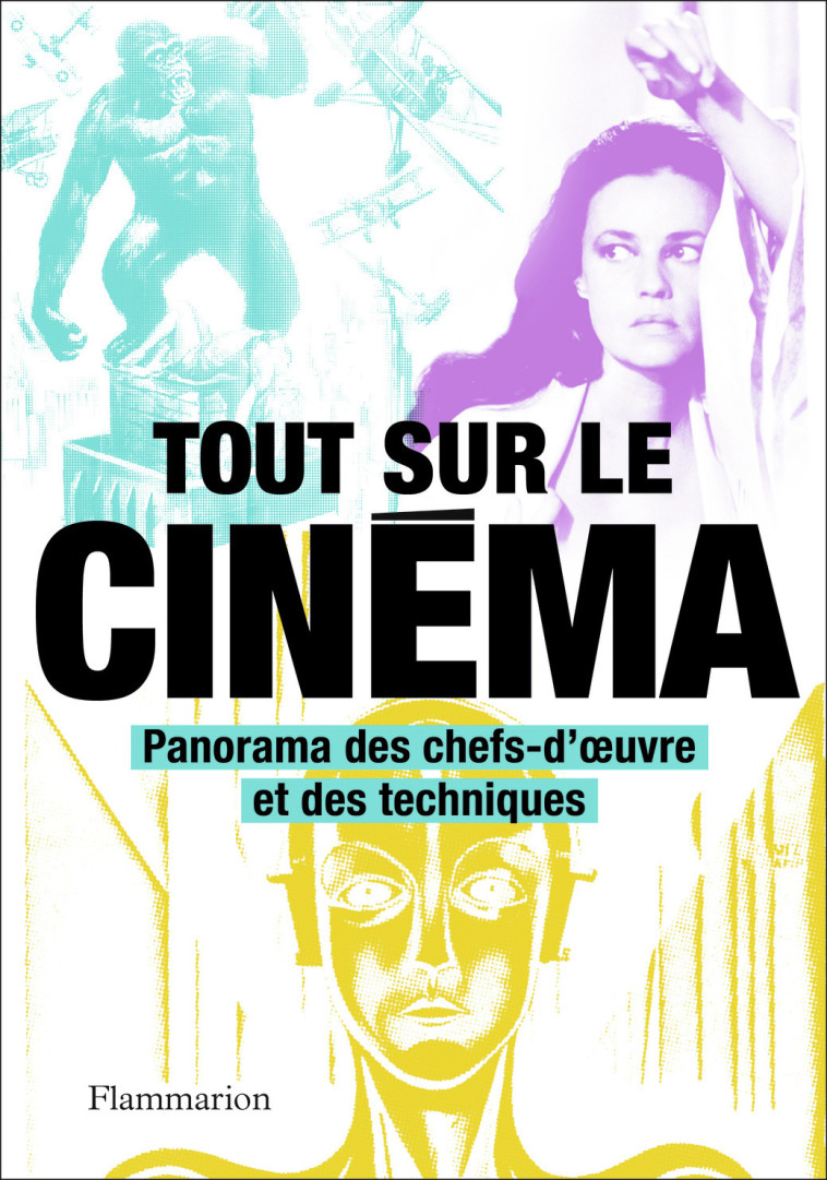 Tout sur le cinéma -  Collectif, un collectif de traducteurs, Philip Kemp - FLAMMARION