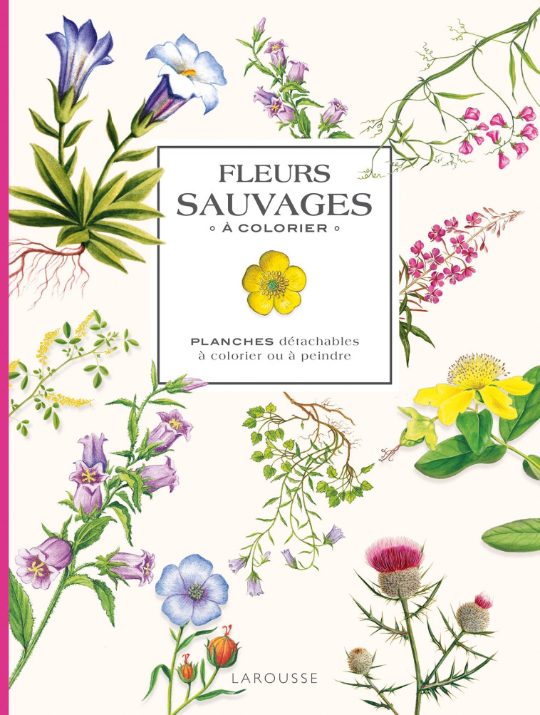 Fleurs sauvages à colorier - XXX - LAROUSSE