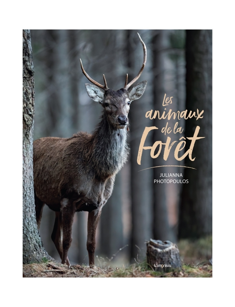 Les animaux de la forêt - Julianna Photopoulos - L IMPREVU