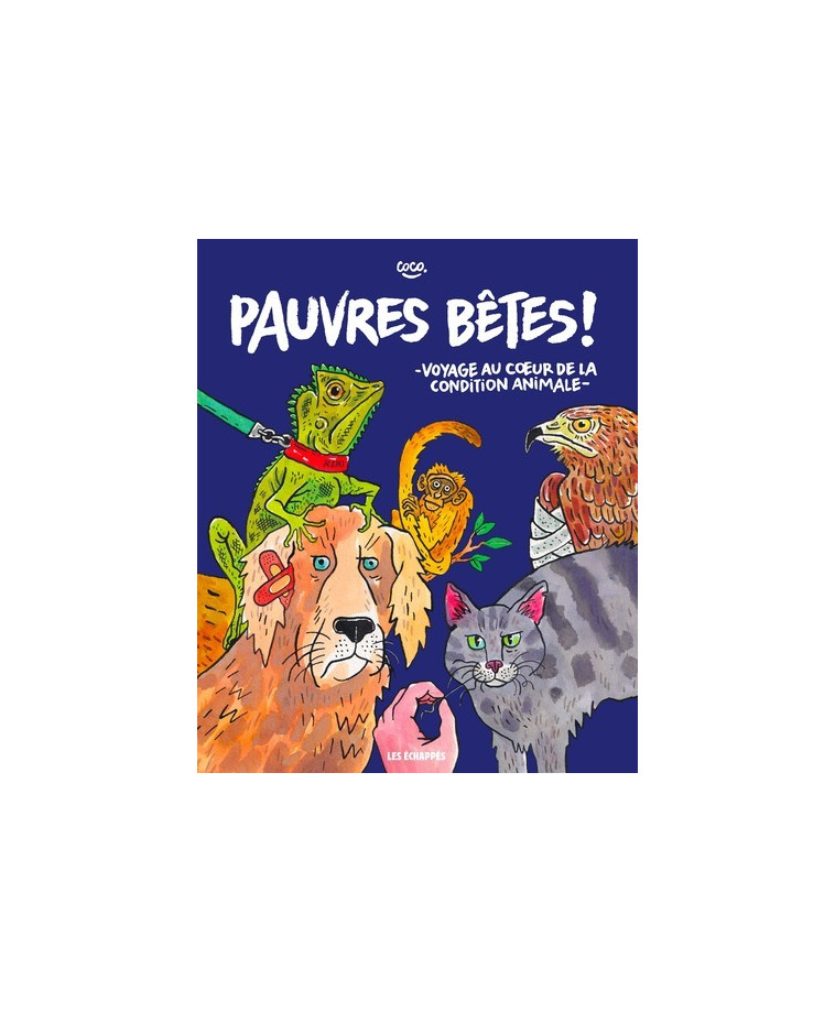 Pauvres bêtes ! - . Coco - ECHAPPES