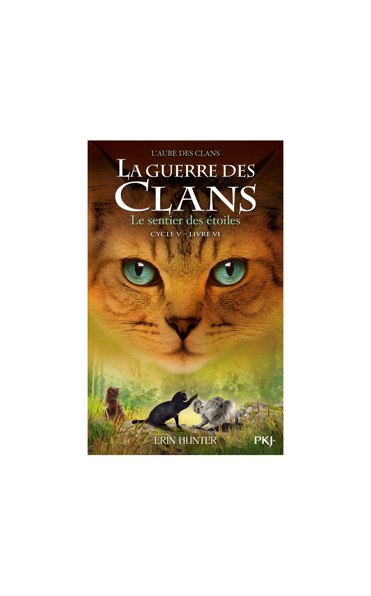 La guerre des Clans - Cycle V L'aube des clans - tome 6 Le sentier des étoiles - Erin Hunter, Aude Carlier - POCKET JEUNESSE